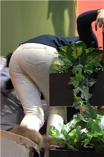 白裤店员翘起PP [166M/M2TS]